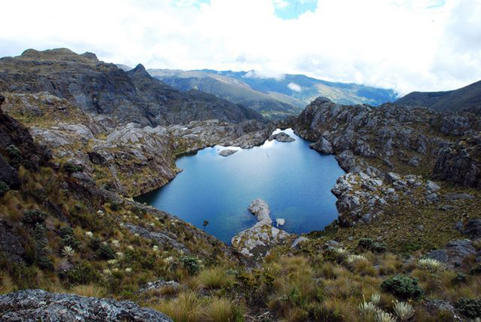 La petición que realizará Santander frente al fallo que 