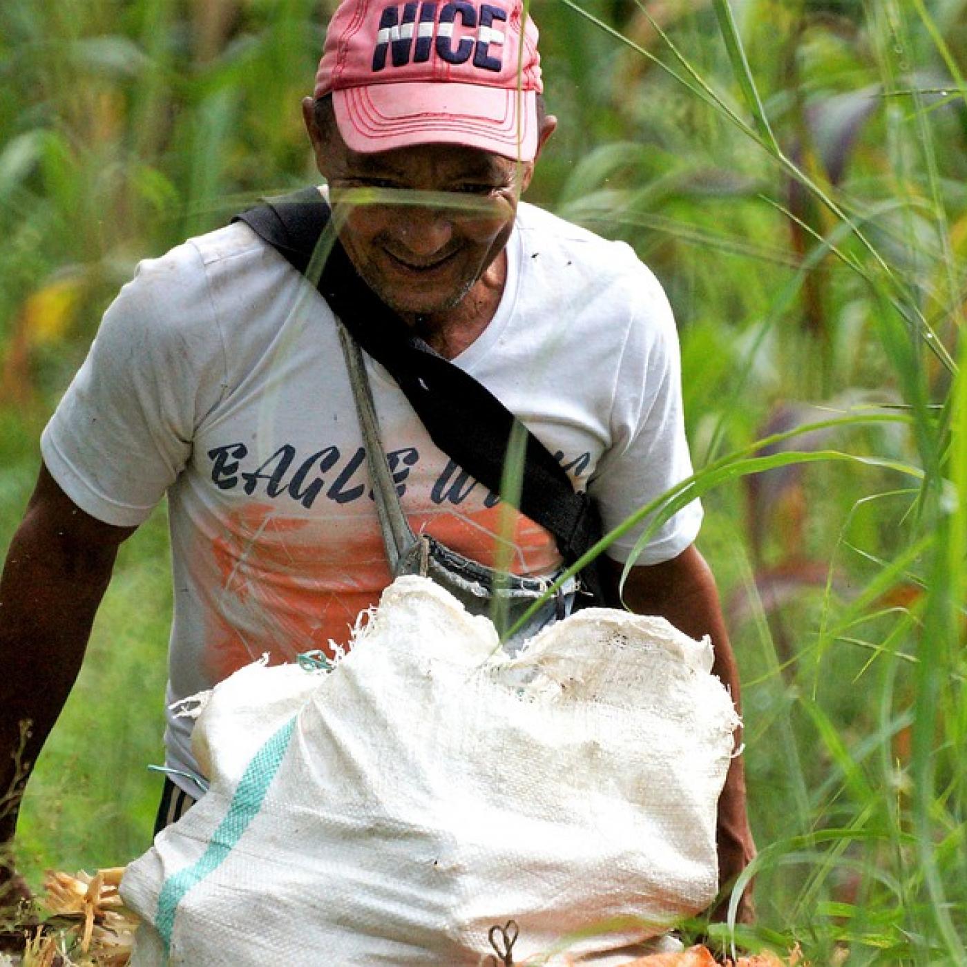 ¿Cómo emprender en el campo? ¿Cómo emprender en el campo?