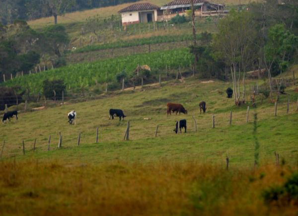 Foto: Colprensa