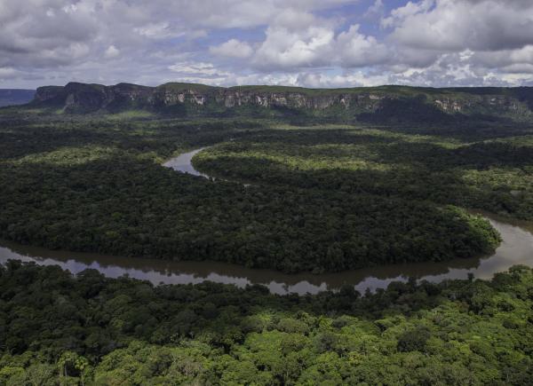 Foto: Parques Nacionales Naturales.
