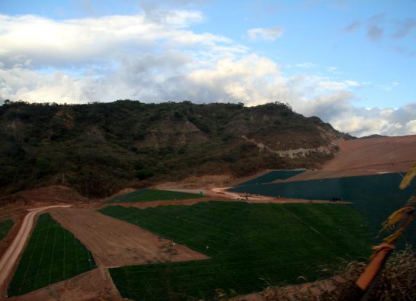 Foto: Colprensa