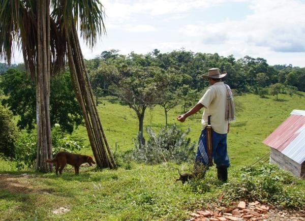 Foto: Twitter Radio Nacional de Colombia
