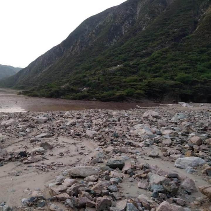 Foto: cortesía.