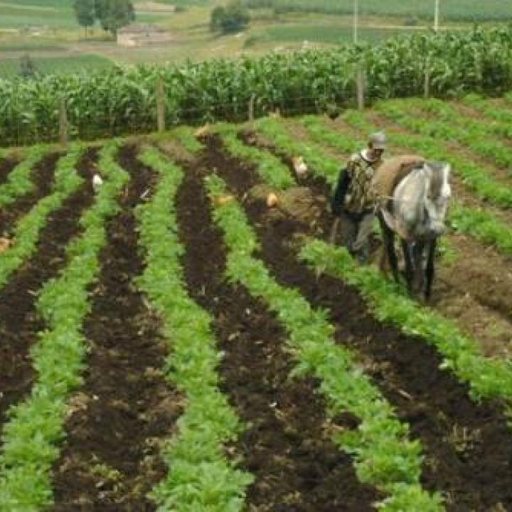 Foto: Ministerio de Agricultura y Desarrollo Rural