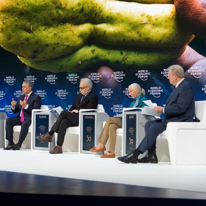 Foto: Presidencia de la República