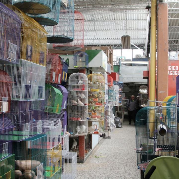 Foto: Comisión Fílmica de Bogotá