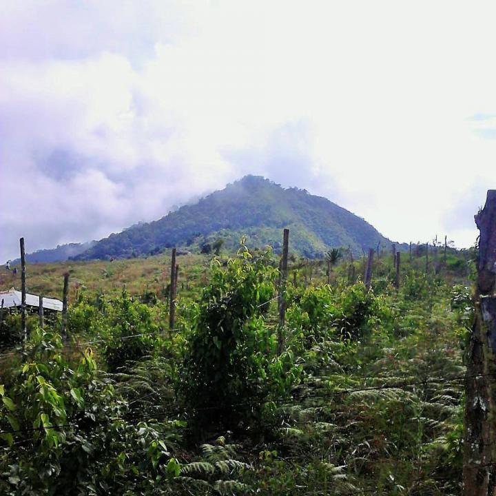 Foto: Alcaldía de Caloto