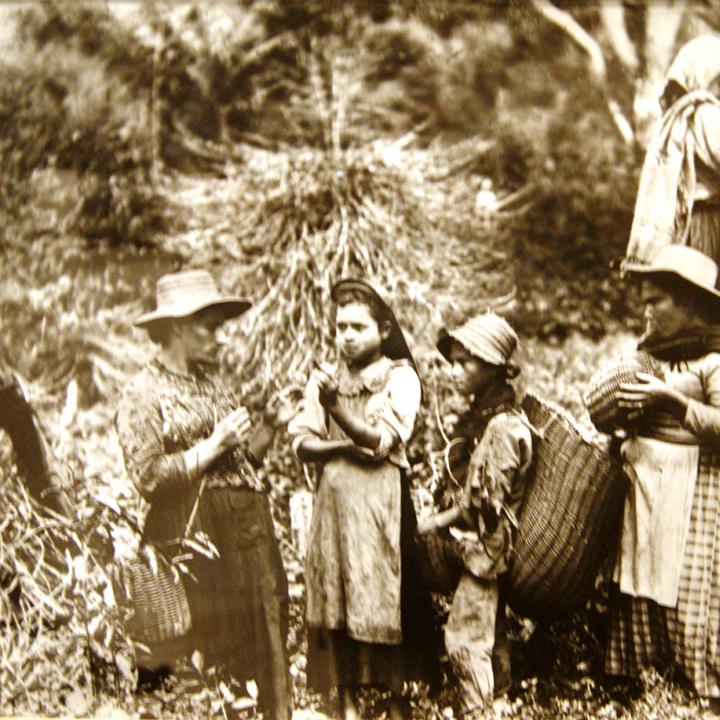 Chapoleras antioqueñas en 1910.