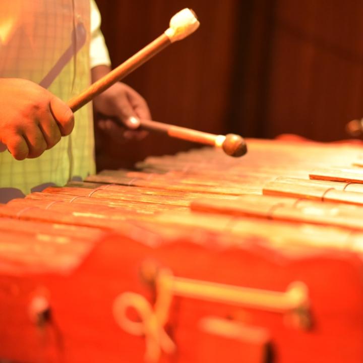 Marimba de chonta, instrumento tradicional del Pacífico colombiano. Foto: Cortesía Agrupación Tumacuba