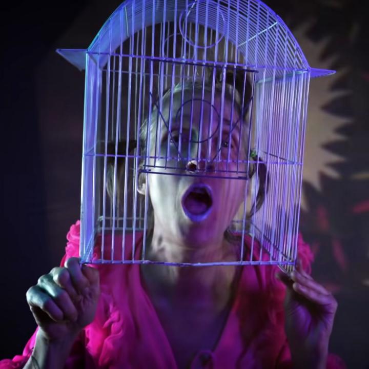 Aterciopelados
