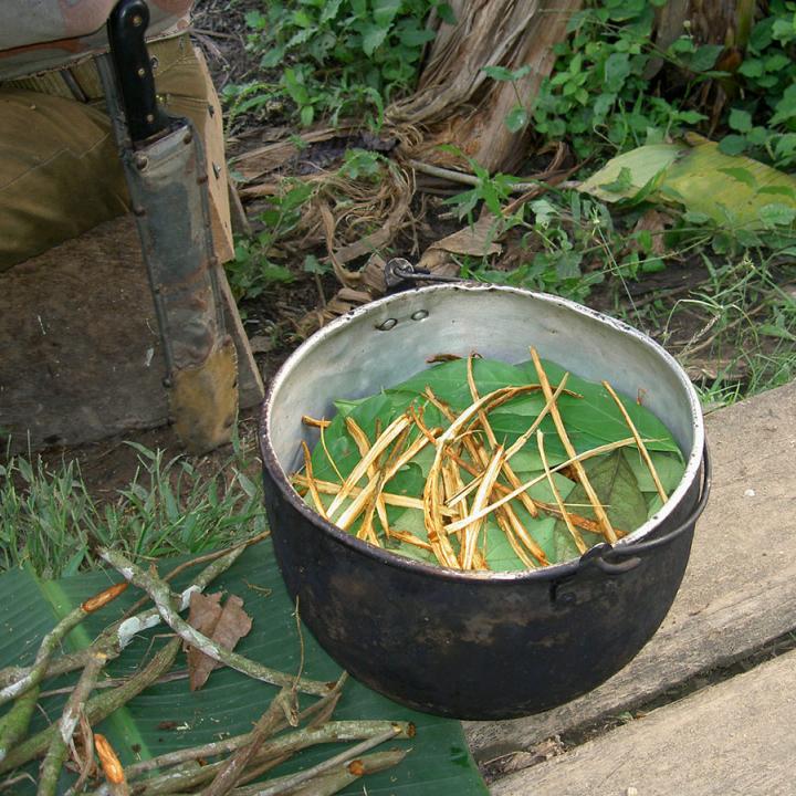 Foto: Tomada de CIBERNED.