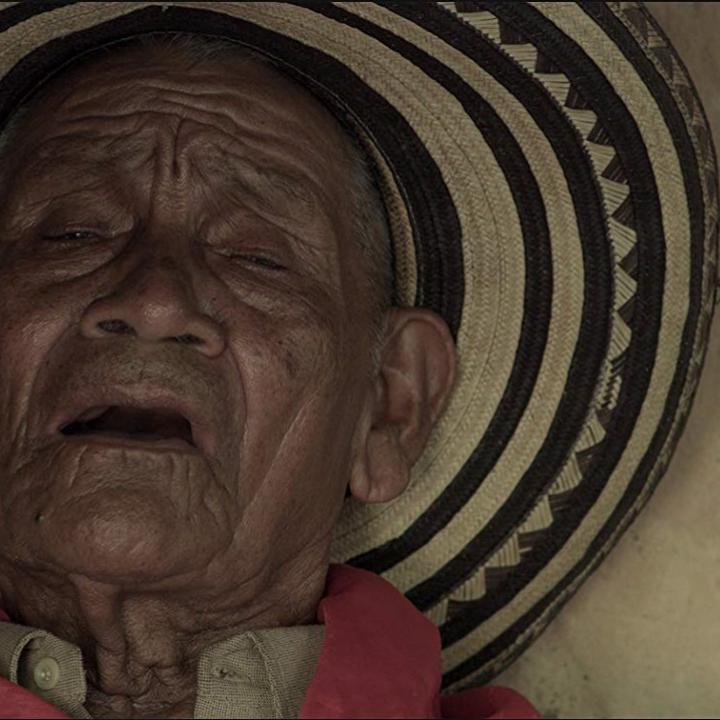 Foto: Imagen cortometraje 'Bajo la sombra del guacarí', estrenado en el Festival de Sundance.