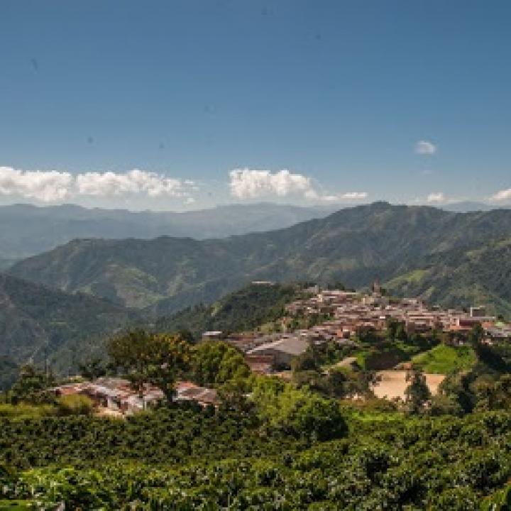 Foto: Gobernación de Antioquia.