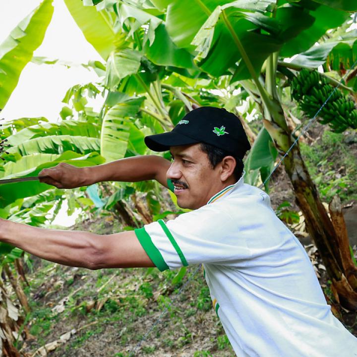 Foto: Colprensa - MinAgricultura. Mayo de 2018.