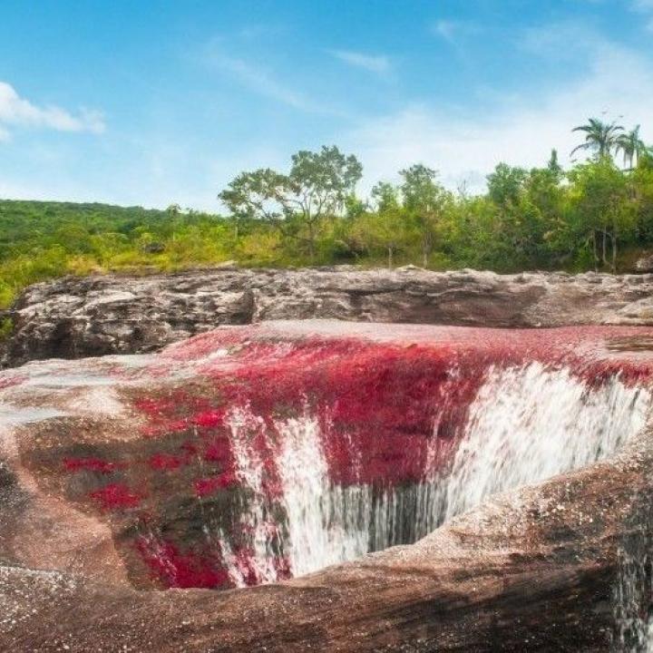 En la actualidad, Caño Cristales es una de las reservas naturales más protegidas por las autoridades ambientales. Foto: Mario Carvajal.