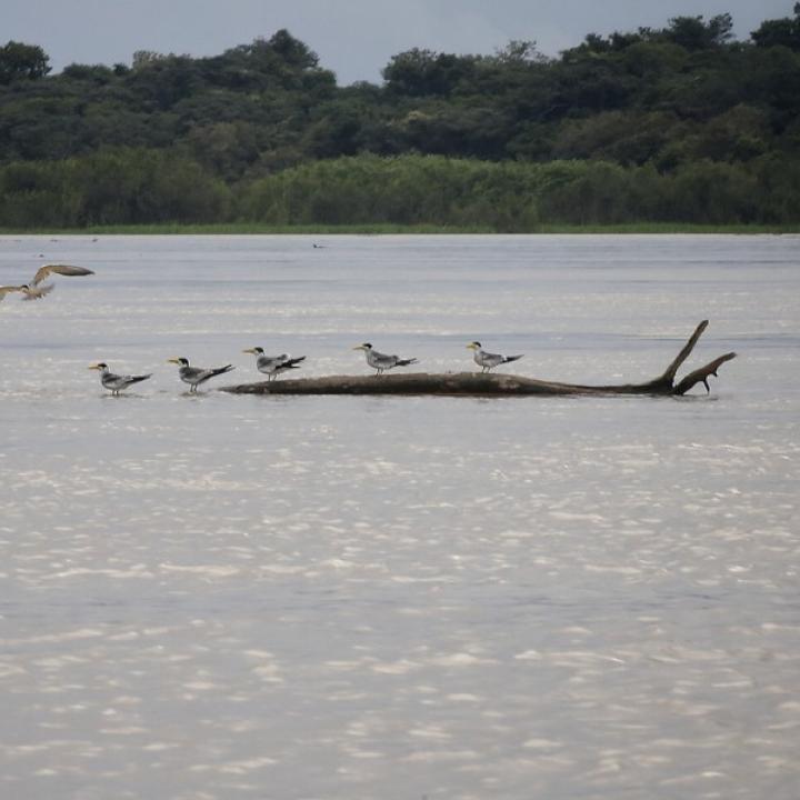 Foto: Colprensa.