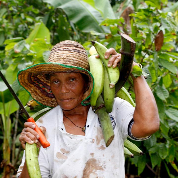 Más de 5 millones de mujeres habitan el campo colombiano": Ministerio de Agricultura | Radio Nacional de Colombia