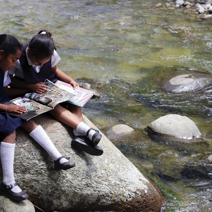 Foto: Colprensa.