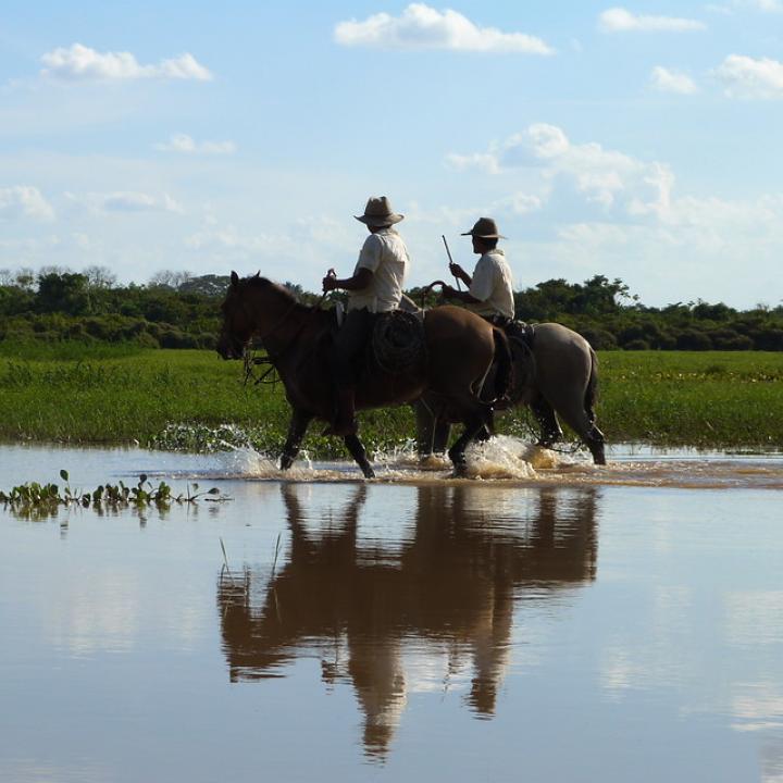 Foto: Colprensa.