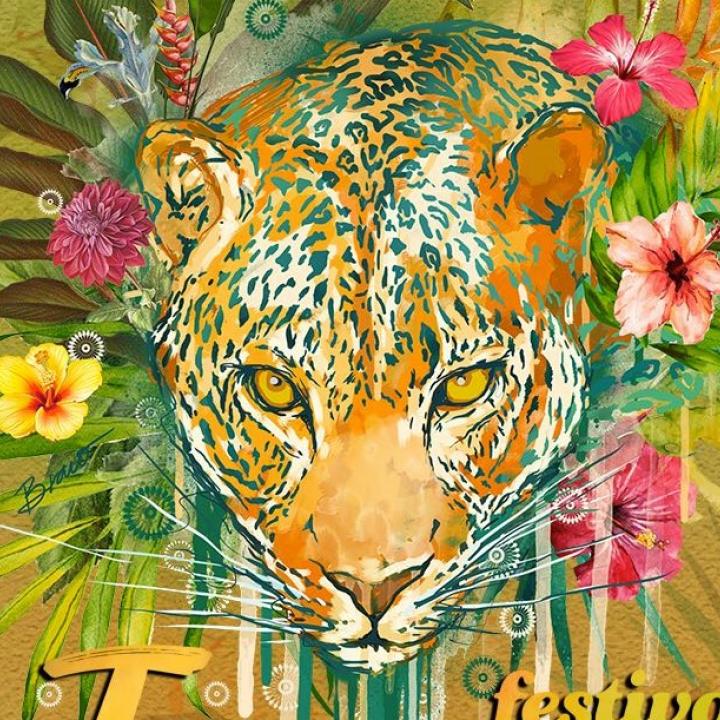 Afiche del Festival Jaguar en su quinta edición. Foto: Colprensa. Diciembre 2017.