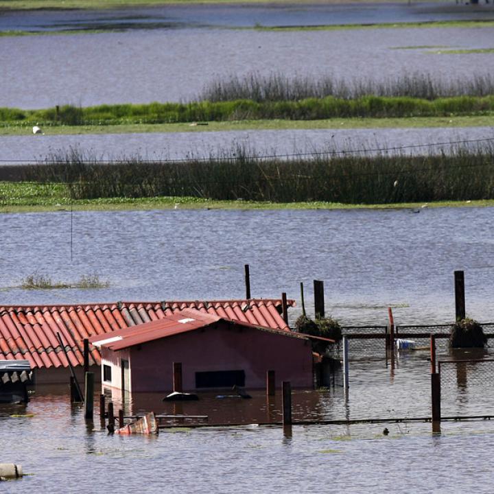 Foto: Colprensa. Mayo 2018.