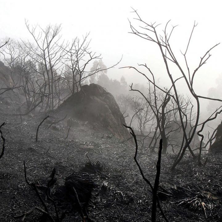 Foto: Colprensa.