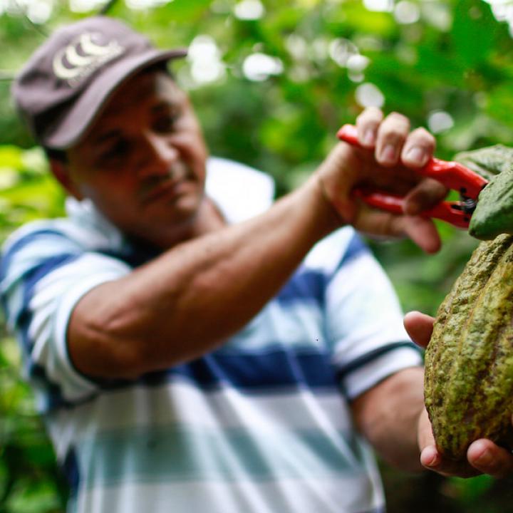 Foto: Colprensa. Agosto de 2018.