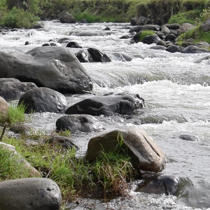 Foto: Gobernación del Quindío