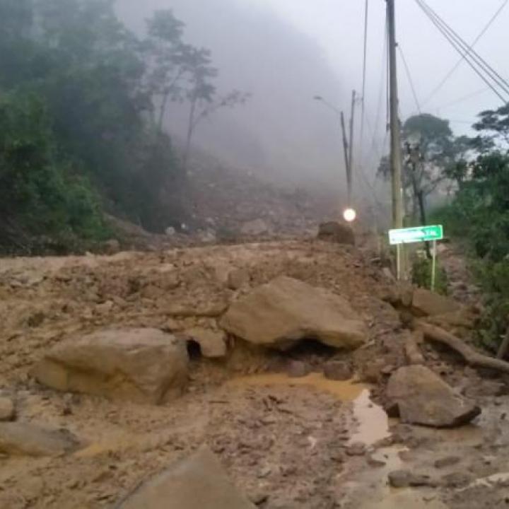 Foto Coviandes