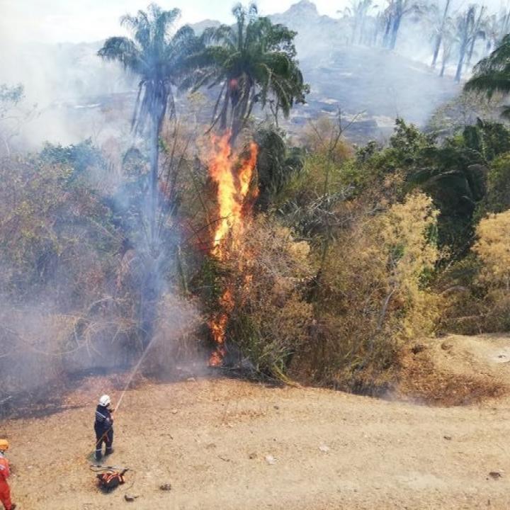 Foto: Twitter Cortolima
