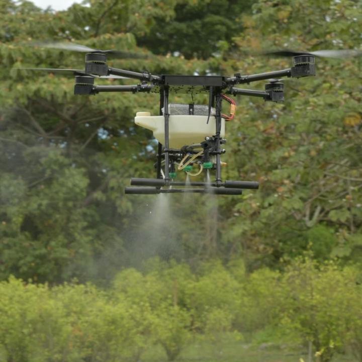 Con drones se erradicarían a diciembre de este año alrededor de 1.728 hectáreas. Foto: Carolina Bustamante.