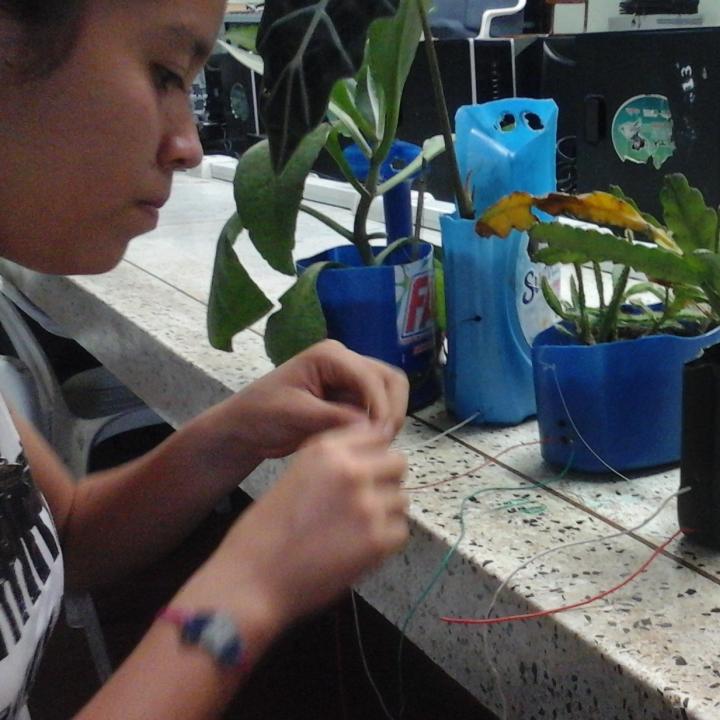 El proyecto de biomasa con plantas es realizado por jóvenes de bajos estratos de Acacías (Meta). Foto: Cortesía Grupo de Investigación Energías para el Futuro.