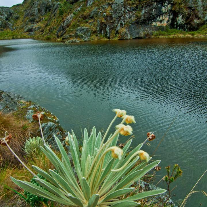 Foto: Mauricio Olaya