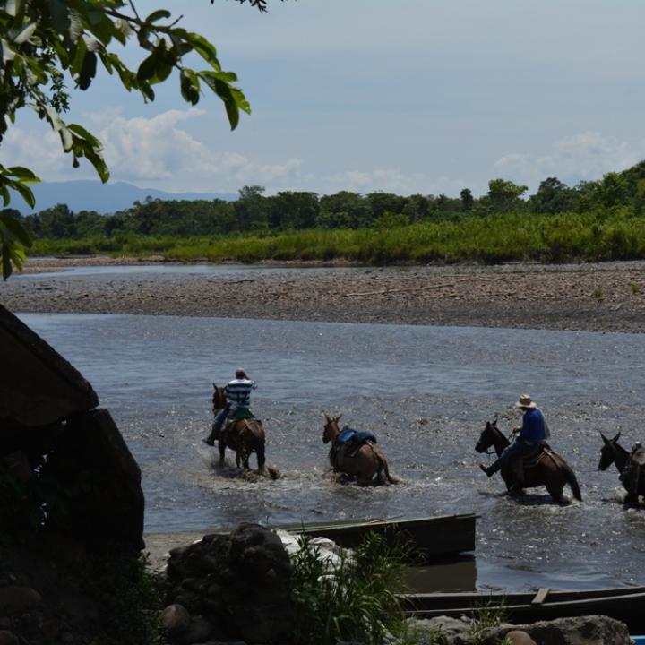 Foto: Jhon Fajardo Sánchez.
