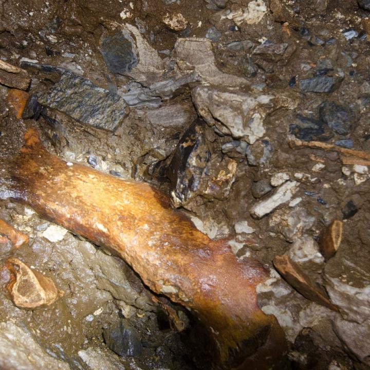 Expertos creen que los restos paleontológicos yacen allí, porque las cuevas fueron posibles refugios o trampas para los animales. Fotos: Juan Carlos Higuera - Sociedad Colombiana de Espeleología.