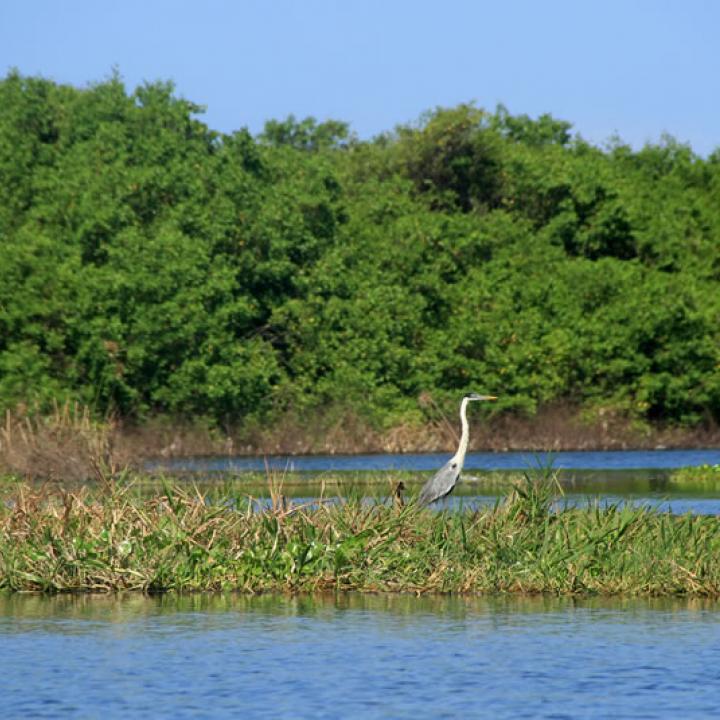 Foto: Chrisrtian García.
