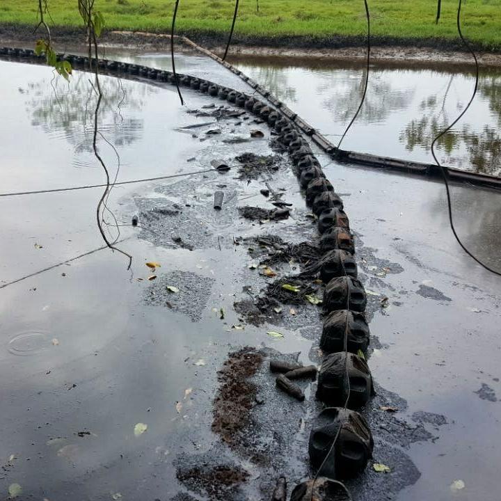 Foto: Angélica Blanco.