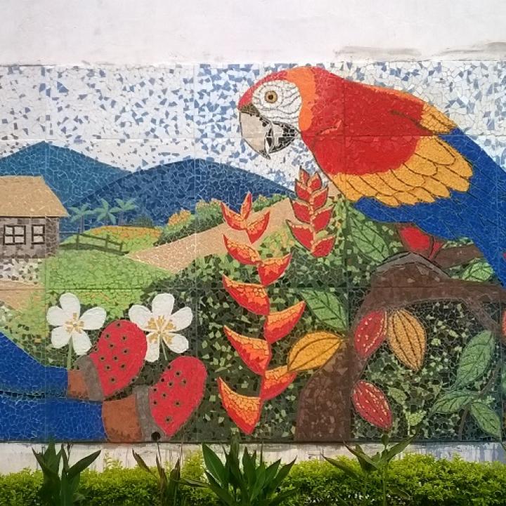 Foto: Néstor Delgado Angarita