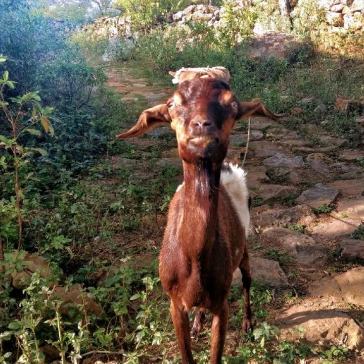 Foto: Angélica Blanco.