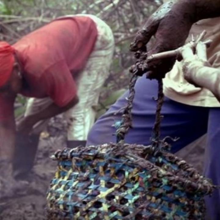 Imágen del documental 'Conchar y sobrevivir' de Señal Colombia. Imágen del documental 'Conchar y sobrevivir' de Señal Colombia.