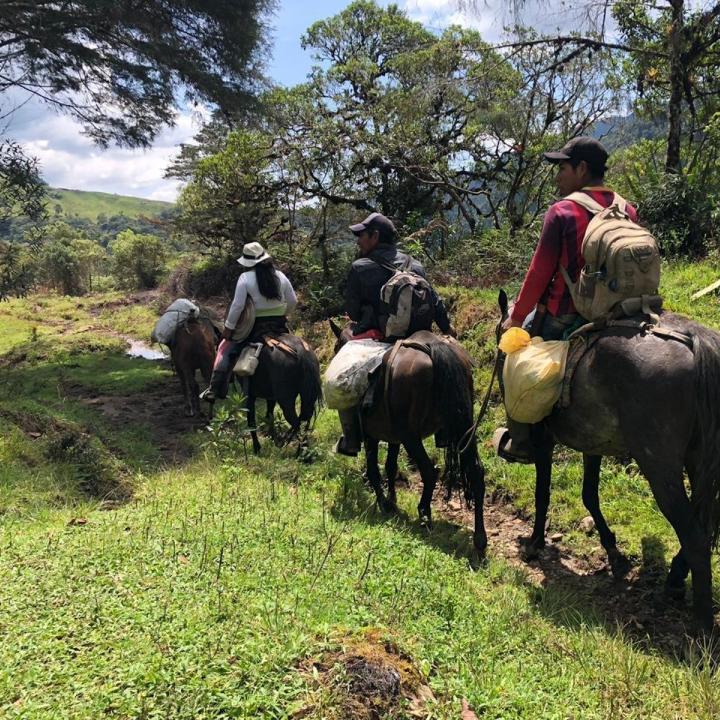 Foto: Oficina de Prensa y Comunicación Agencia de Reincorporación y Normalización – ARN, oficina Neiva.