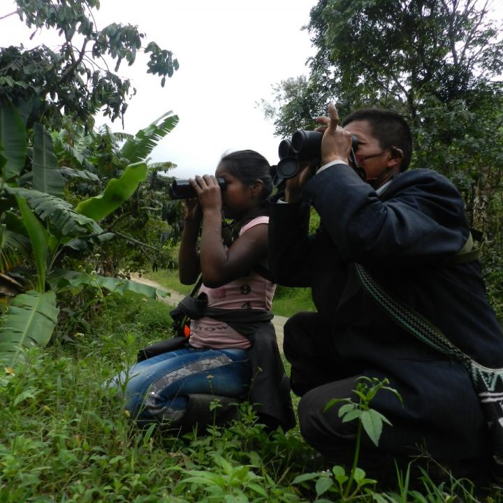 Foto: Asociación de Agricultores Ecológicos de Planadas