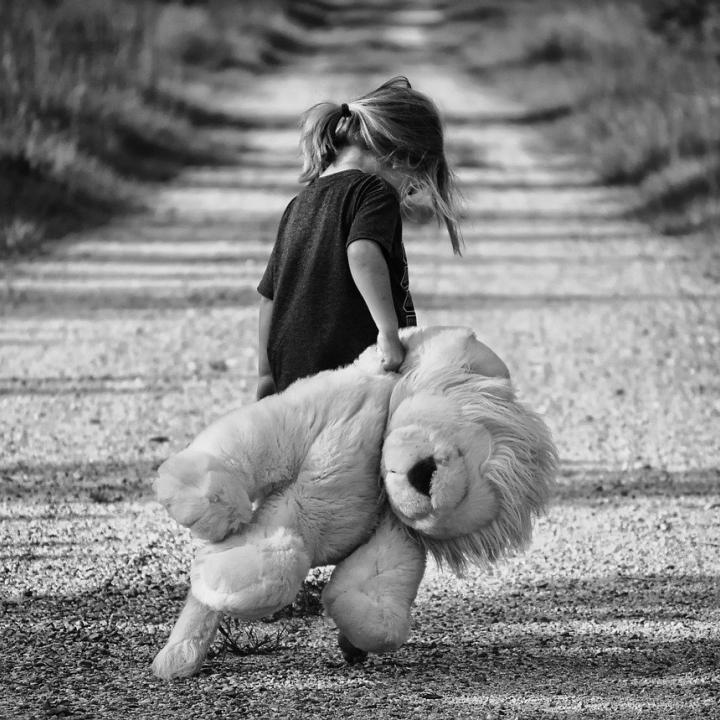 Foto: Archivo / Pixabay.