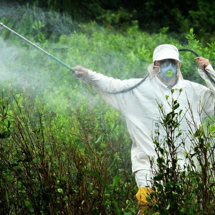 Glifosato Proyecto De Ley Busca Prohibir Su Uso En Agricultura Radio Nacional De Colombia