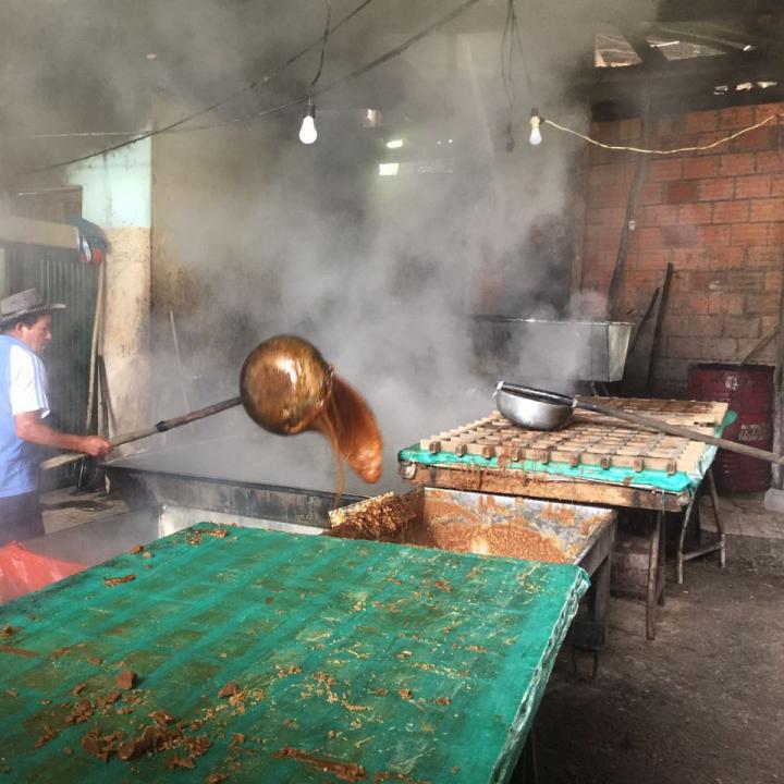 Foto: Julián López