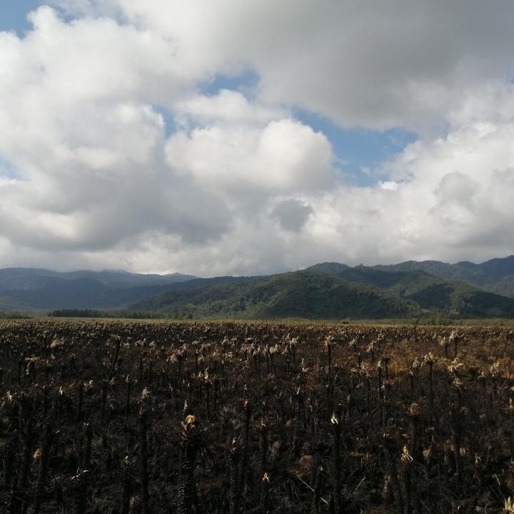 Fotos: resguardo indígena Quillasinga Refugio del Sol