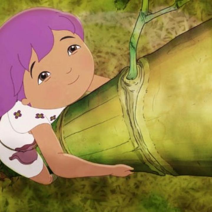 Imagen de la película colombiana 'El libro de Lila' de Marcela Rincón