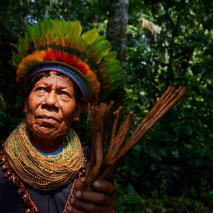 Resultado de imagen para brasil indigena la amazonia