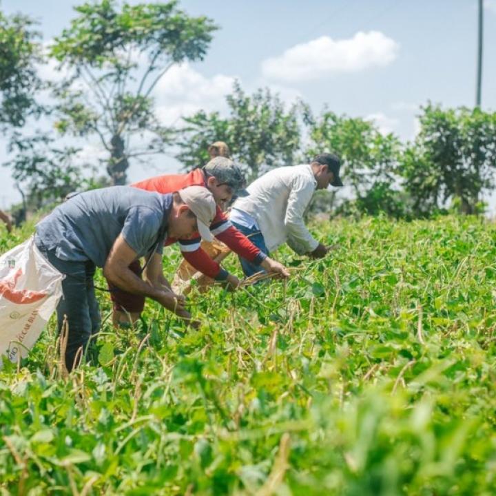 Foto: MinAgricultura