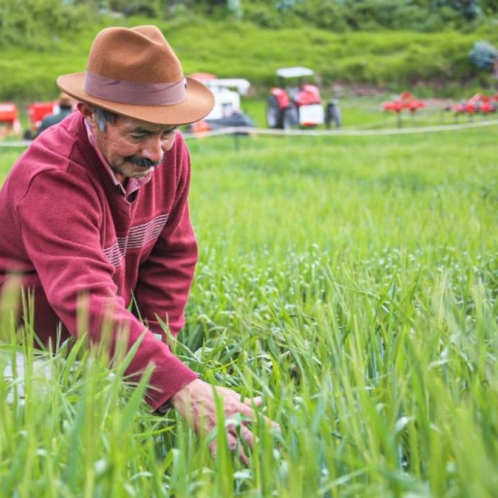 Foto Twitter Ministerio de Agricultura